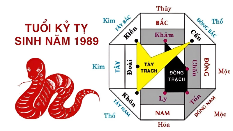 1989 hợp hướng gì - Tổng quan về tuổi Kỷ Tỵ 1989
