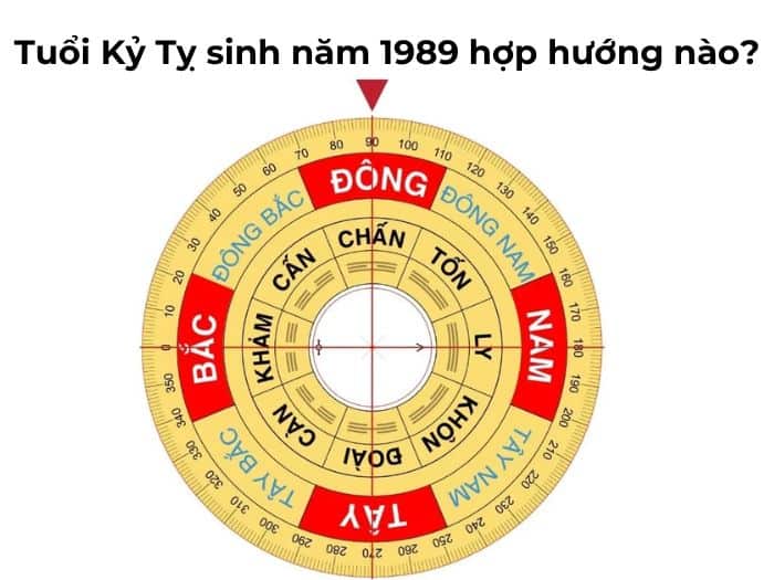 1989 hợp hướng gì - Tổng quan về tuổi Kỷ Tỵ 1989
