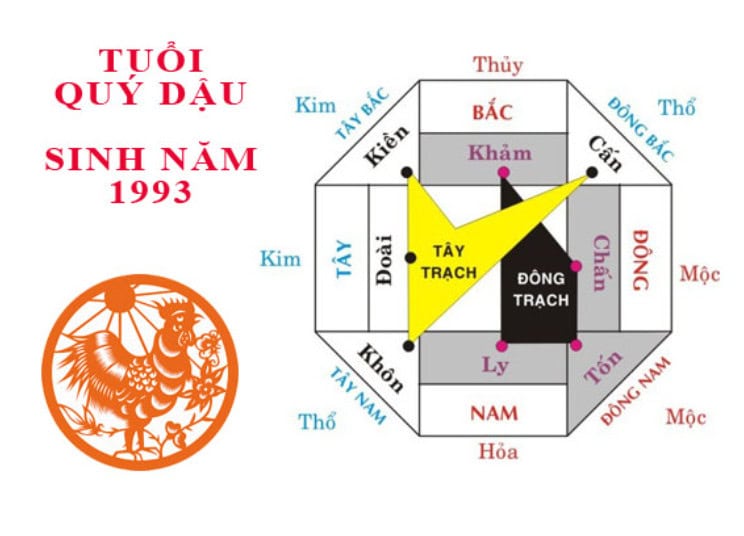 Tuổi Quý Dậu hợp hướng nào