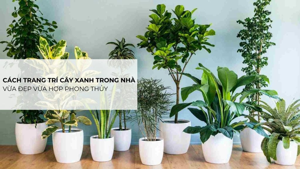 Cây xanh và vật trang trí phong thủy thuỷ nhà ở