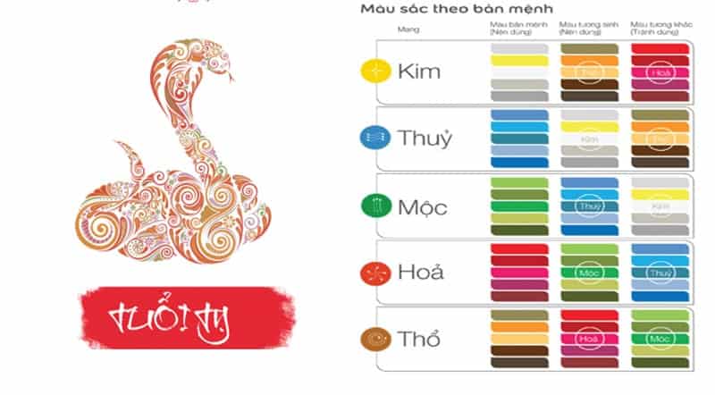 Tuổi Kỷ Tỵ hợp hướng nào-Giới thiệu về gia chủ tuổi Kỷ Tỵ 1989