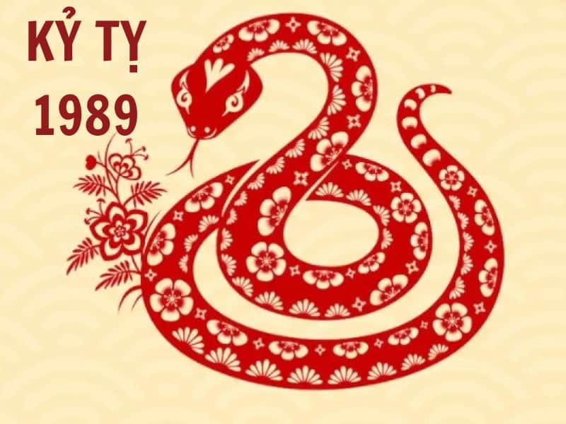Tuổi Kỷ Tỵ hợp hướng nào-Giới thiệu về gia chủ tuổi Kỷ Tỵ 1989