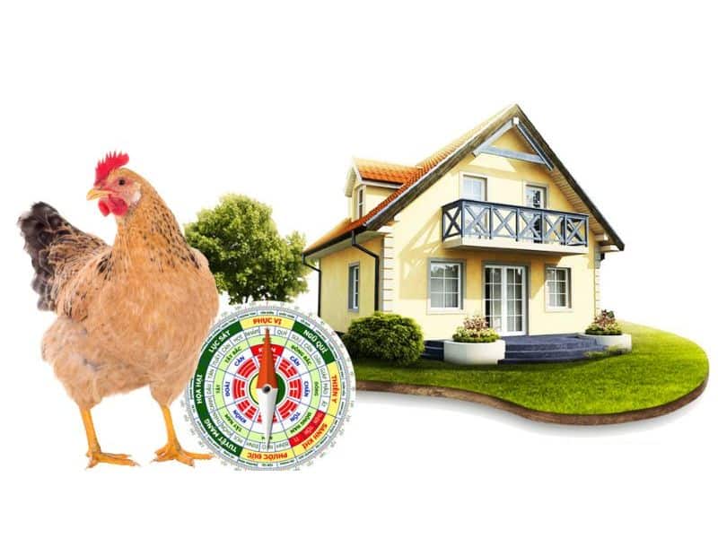 Tuổi Dậu hợp hướng nào?