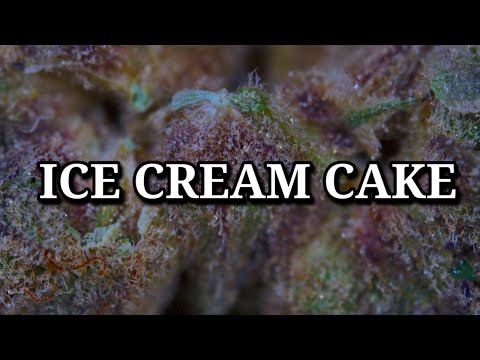 weed vape pens for sale