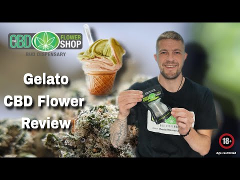 hub420 cannabis vape pen price