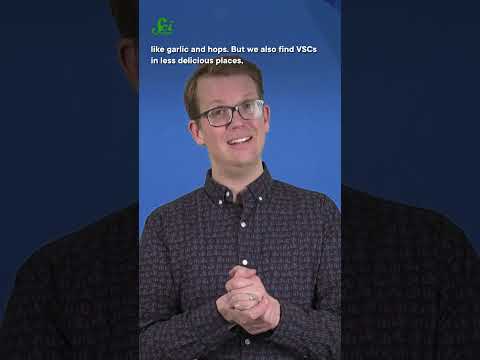 dispensary delivery near me