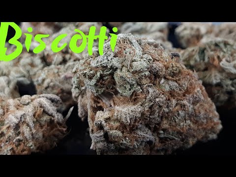 high thc average pre roll price