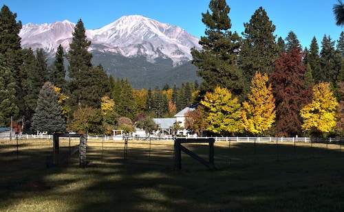 desert treasure 2 casino