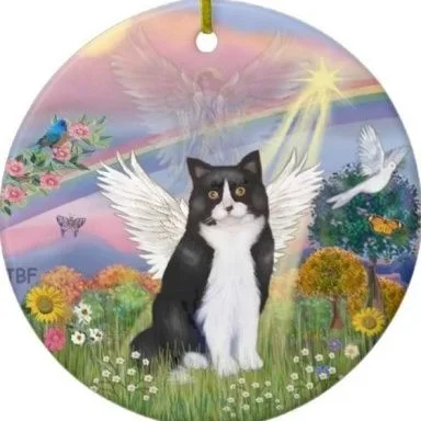 iWinFortune login app