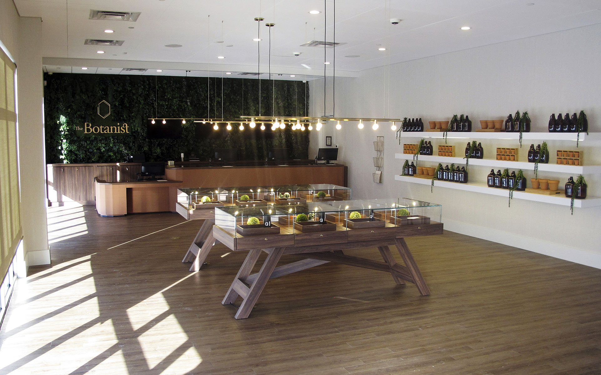 high thc edibles prices