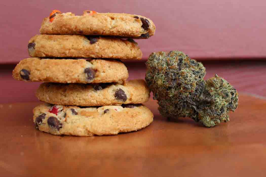 fruit punch strain