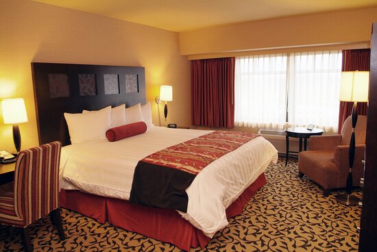 casino Lucky Nugget $100 free spins