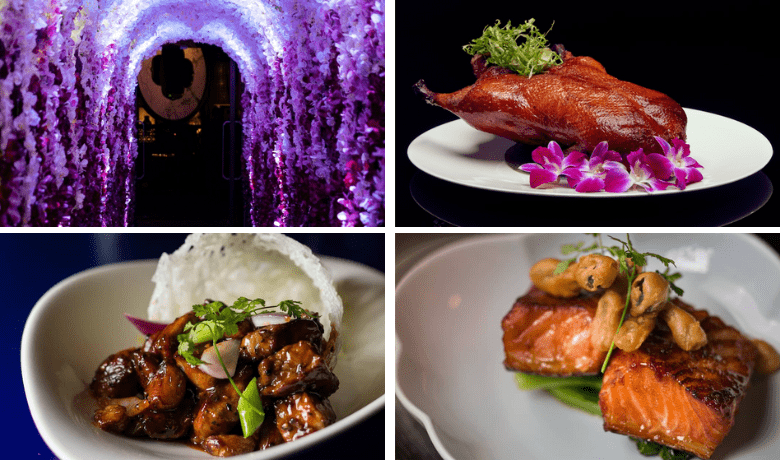 Casino Mr Green  freie Spins