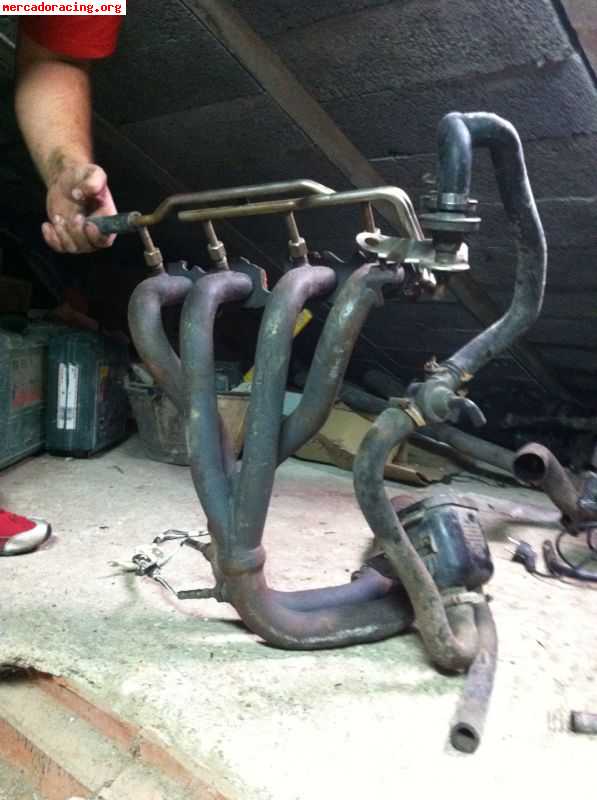 escort girl marbella