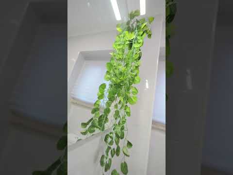 empresas de mudancas