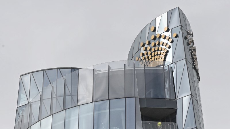 reindeer wild wins Paypal