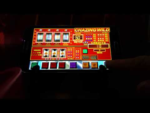casino wildsino