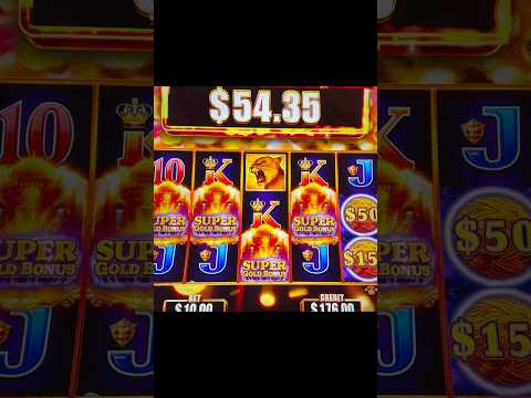 site officiel de Wildsino en france