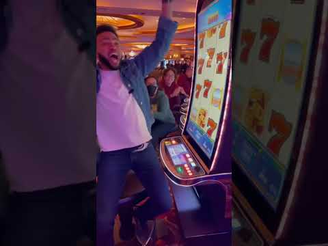 wildsino casino no deposit bonus