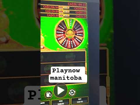 wildsino casino spiele