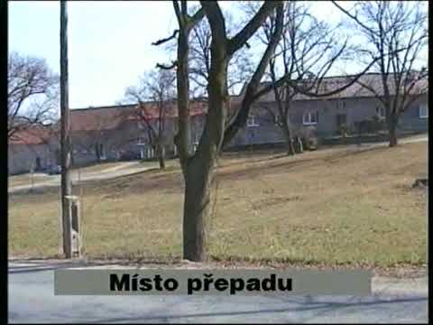 jouer à la machine à sous secret forest