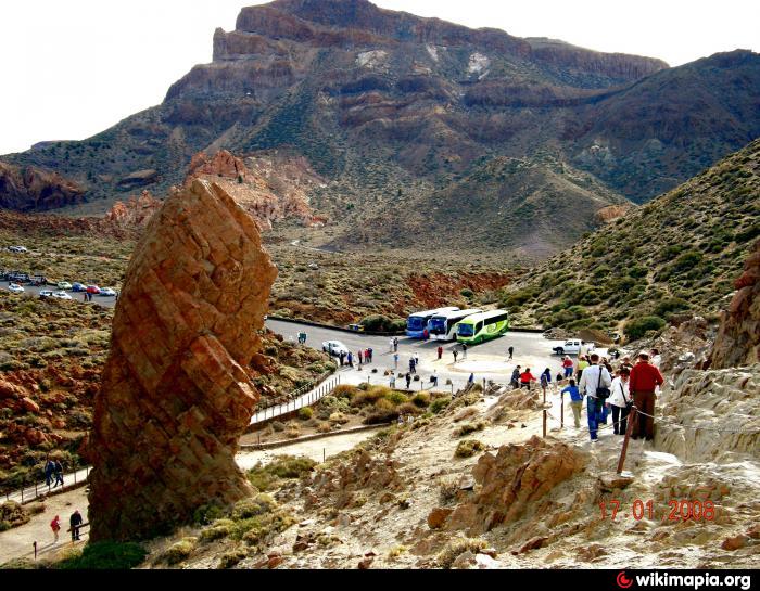 wild dice casino móvil