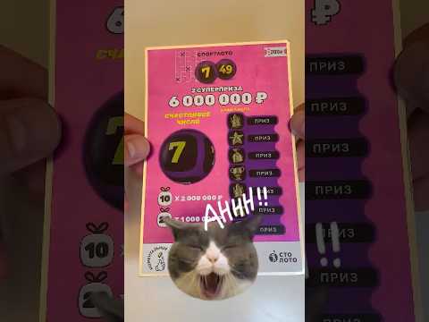 лофт парк онлайн