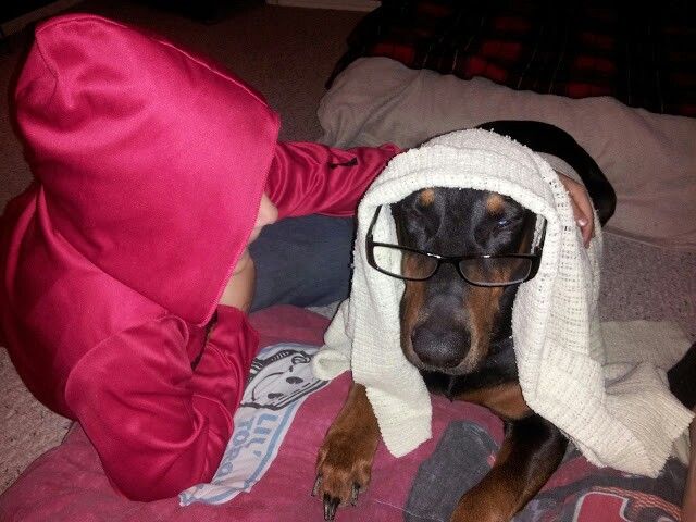 1xbet whatsapp group link