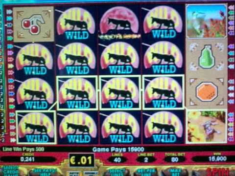 gate777 código de bono de casino