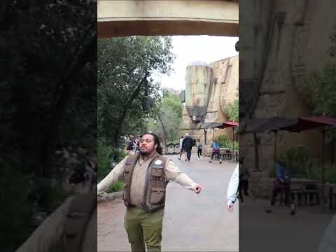 Spinrise app download