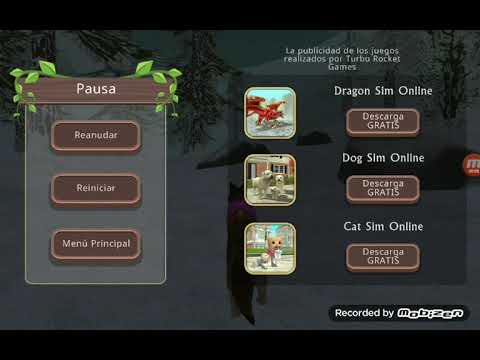 casino safari madness