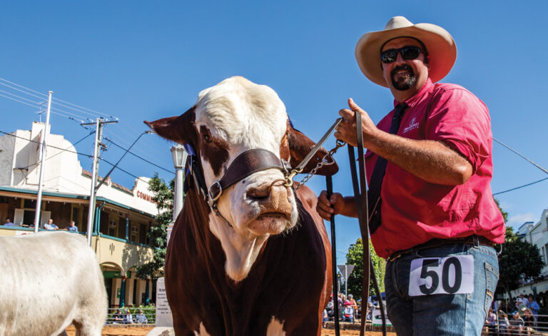 beef casino