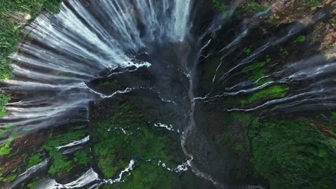 spinrise casino no deposit bonus