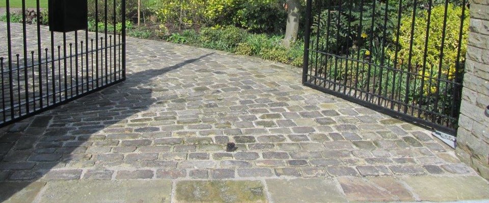 Casino WinTingo móvil