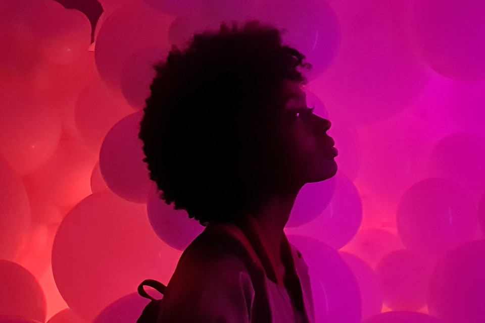 crystal forest fente pour de l'argent réel